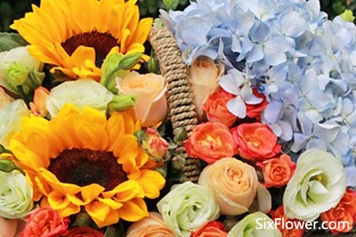 女朋友送花解讀：可以給女朋友送向日葵嗎？