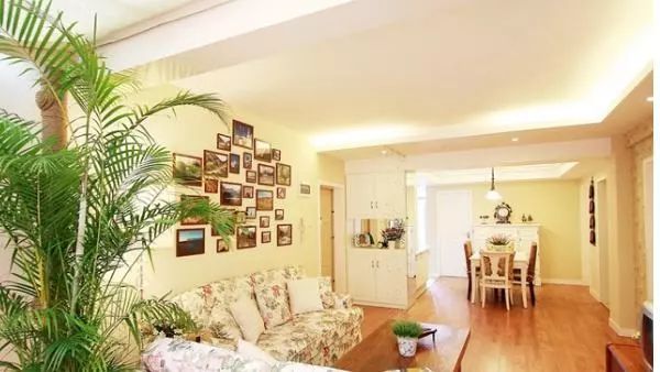 客廳風水養植物好不好_客廳養什么植物風水好_客廳養植物的風水原則