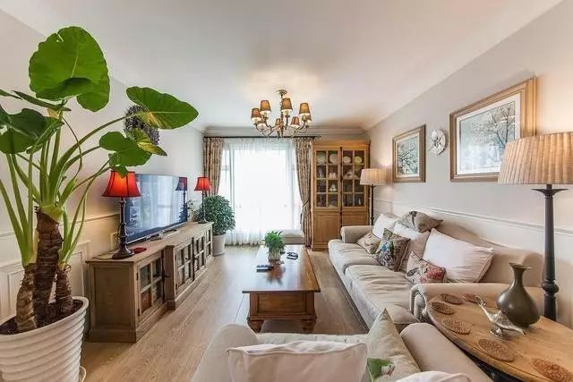 客廳養什么植物風水好_客廳風水養植物好不好_客廳養植物的風水原則