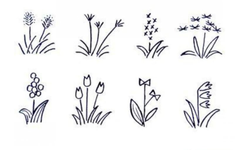 北方庭院耐寒觀賞花樹_北方庭院耐寒盆景_適合北方庭院的耐寒綠植