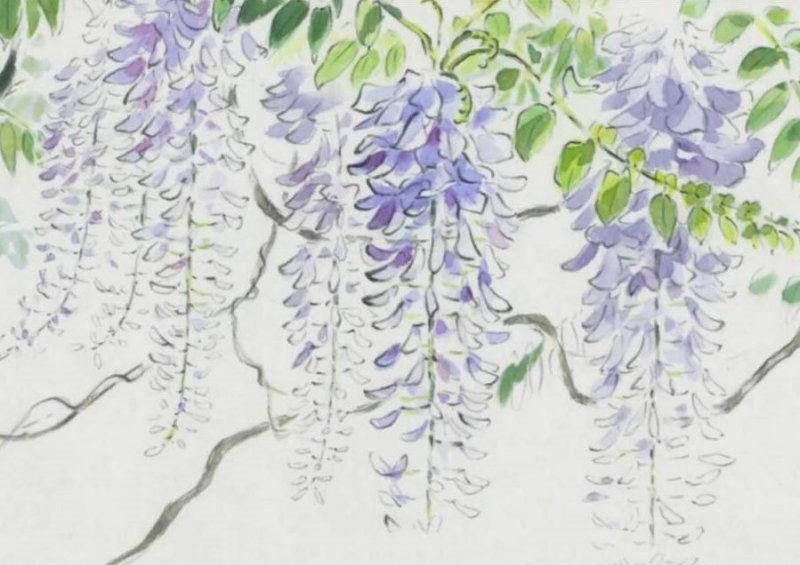 適合北方庭院的耐寒綠植_北方庭院耐寒觀賞花樹_北方庭院耐寒盆景