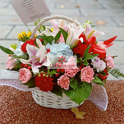 適合送老人的花_送花給老人什么花合適_送老人花什么花好