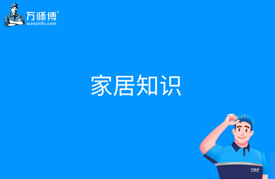 適合辦公室的10大綠植推薦！