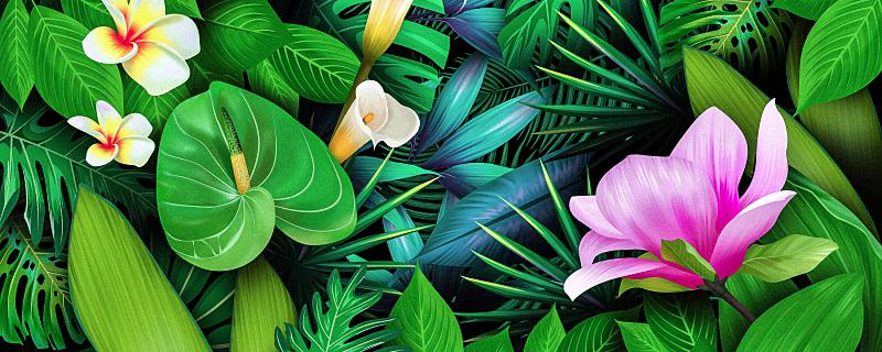 喬遷送綠植賀詞_喬遷新居送綠植要送一對嗎_喬遷之喜送綠植一般送幾盆