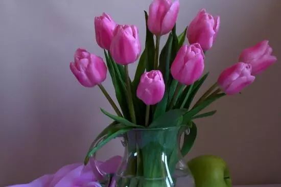 花卉大全藍色花名有哪些_藍色花卉大全花名_藍色的花名稱大全