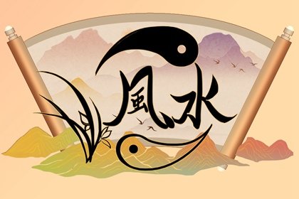 適合室內養的木本盆栽_室內養植物適合木本還是草本_適合室內養的木本植物