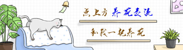 家里養大型綠植好嗎_適合家里養的大型綠植有哪些_家庭養大型的綠植物好