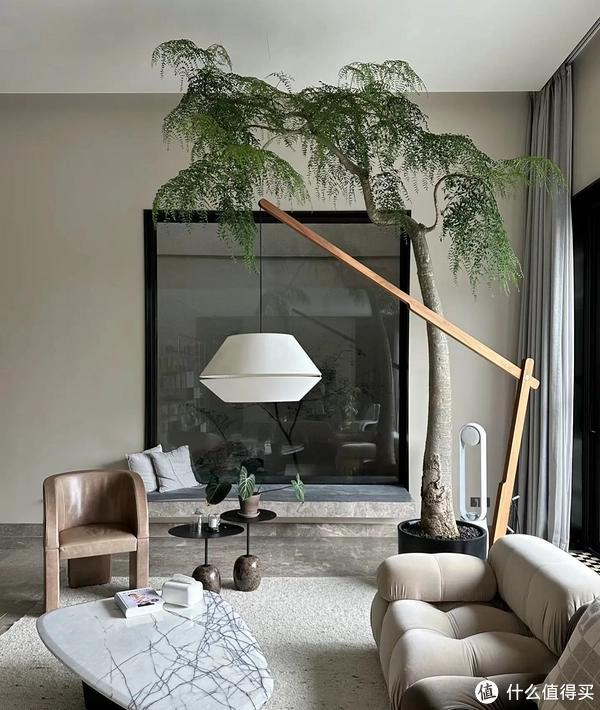 客廳養植物適合家里放什么_家里客廳適合養什么植物_客廳適合養植物好風水