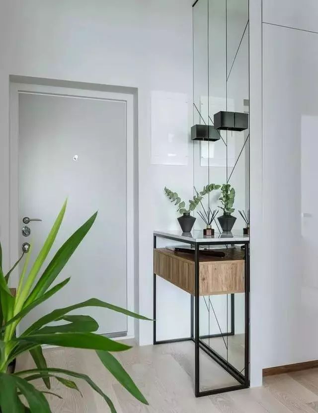 玄關鞋柜上放什么綠植好_玄關鞋柜擺什么花_玄關鞋柜放什么植物好