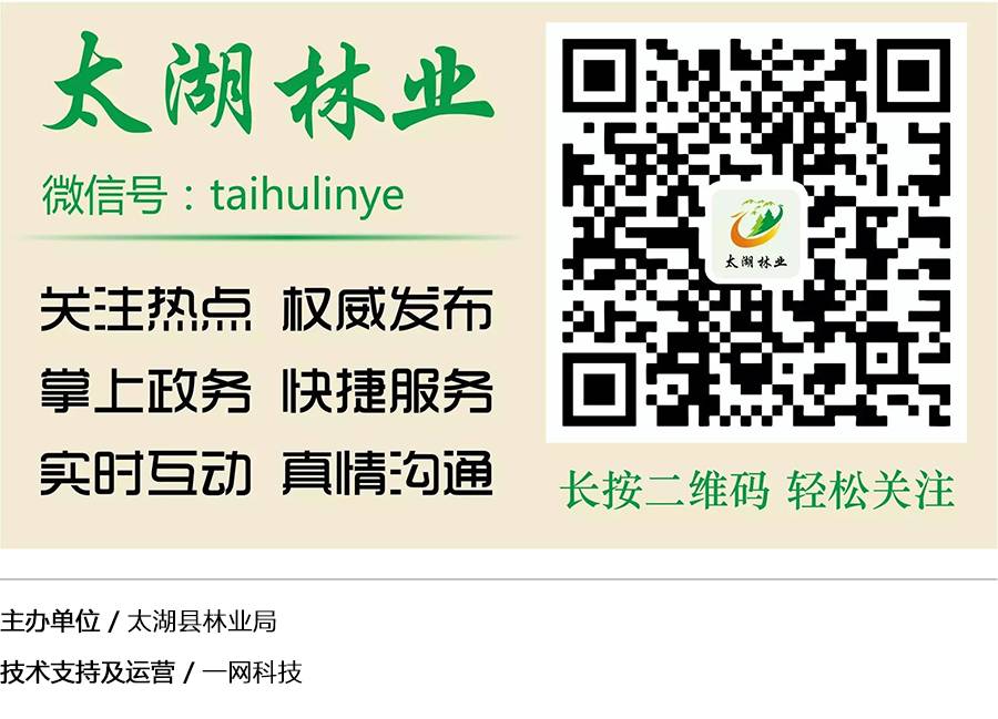 冬天可養的綠植_冬養綠植天可以淋雨嗎_冬養綠植天可以澆水嗎