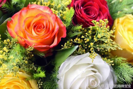 玫瑰花延長保鮮期的方法，讓心愛的人送你的玫瑰花保存更長久！