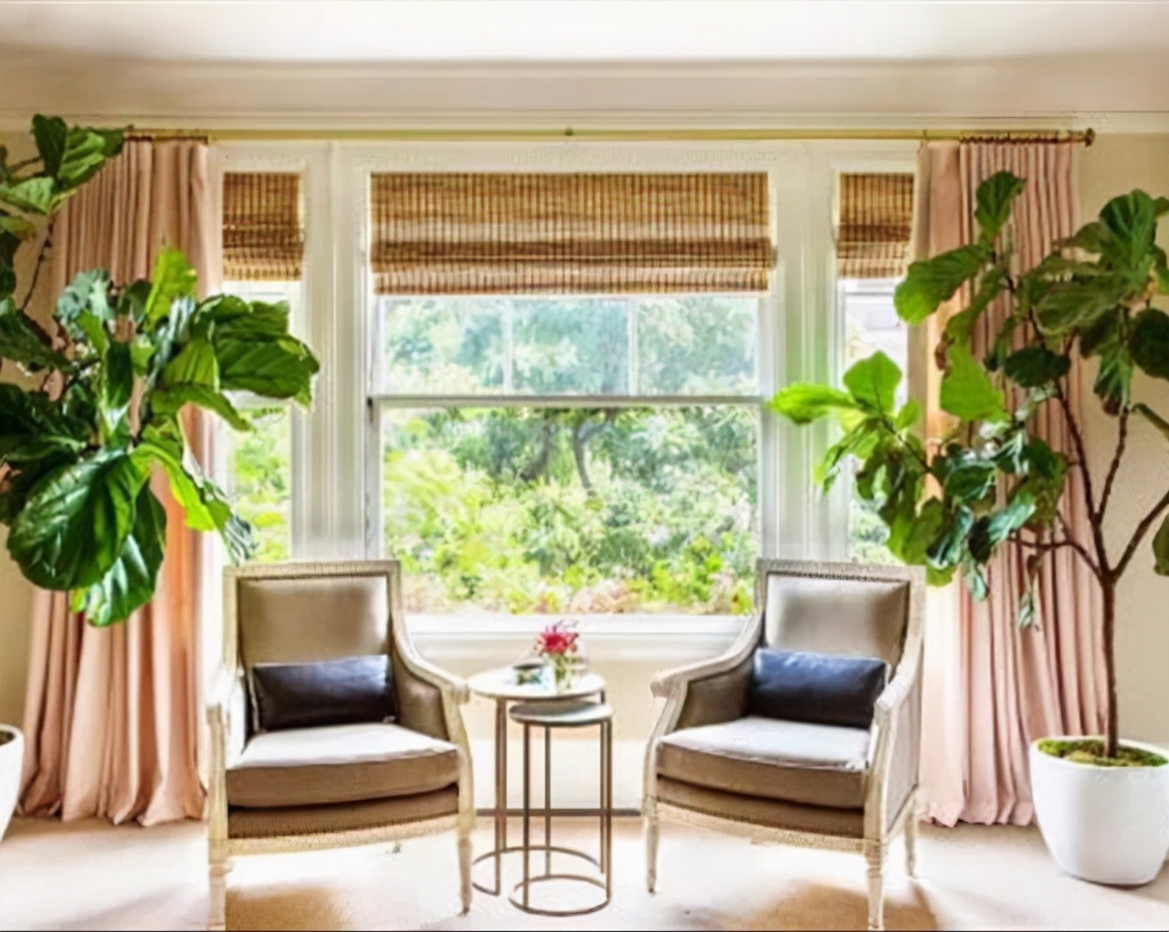 室內適宜盆栽花卉_適合室內盆栽花卉盆景_花卉適宜盆栽室內還是室外